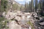 Evolution Creek